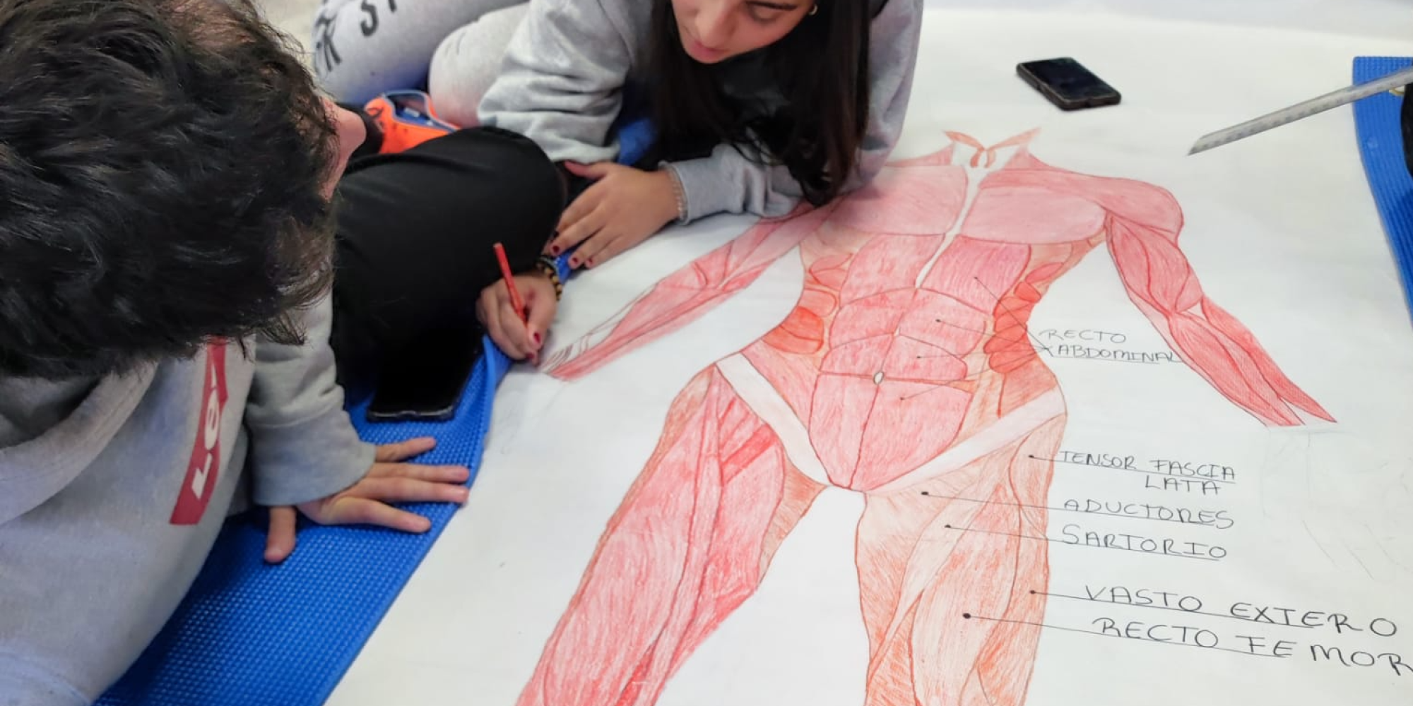 TSEAS cuerpo humano FP San Ignacio