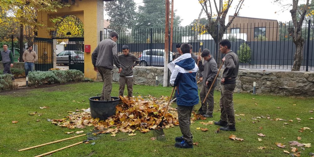 Recolección de Hojas Agrojardinería FP San Ignacio