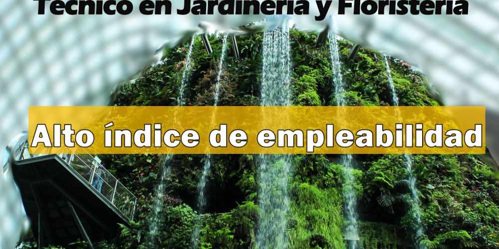 CARTEL PROMO NUEVO CICLO FP Jarineria Floristeria